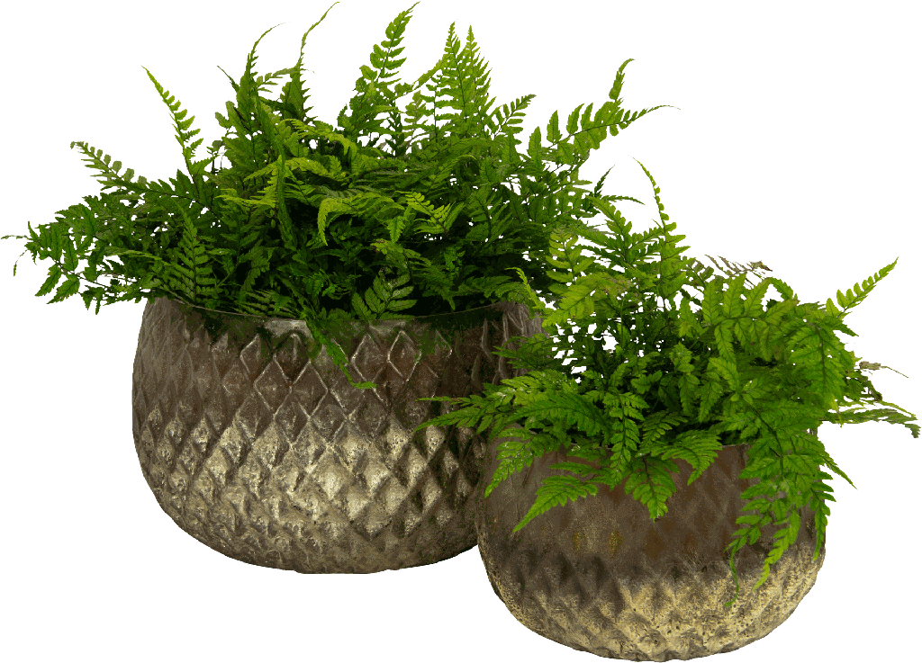 18055A97 + 18056A97.png