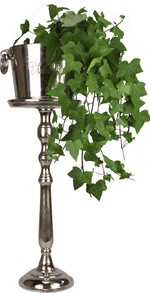 19016A99 - Dekoriert.png