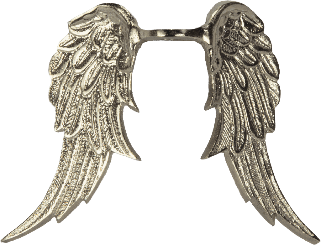 CUPID Engel-Flügel 16 cm Metall antik-silber