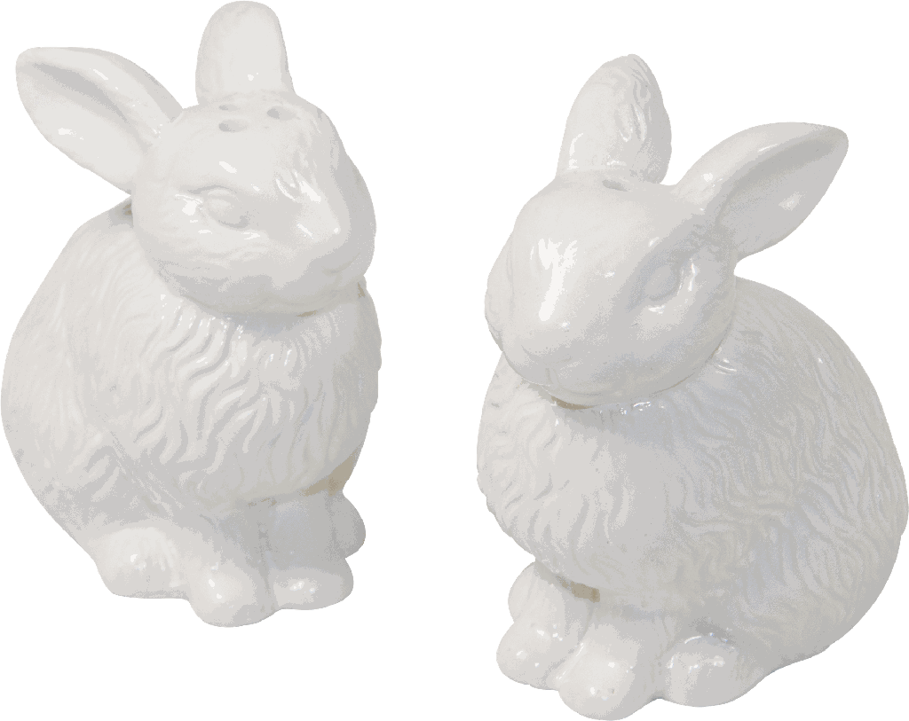 MONSIEUR LAPIN Salz & Pfefferstreuer 7,5 cm Set Porzellan weiß