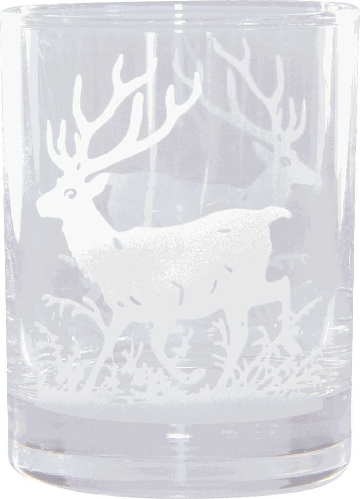 VENISON Whiskyglas 250 ml Glas klar mit Schliff