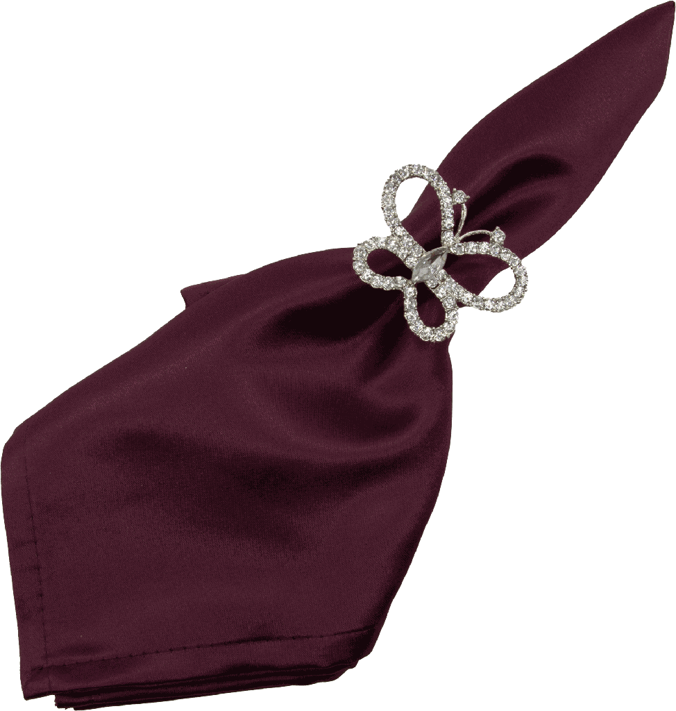 PAPILLON Serviettenring Metall silber