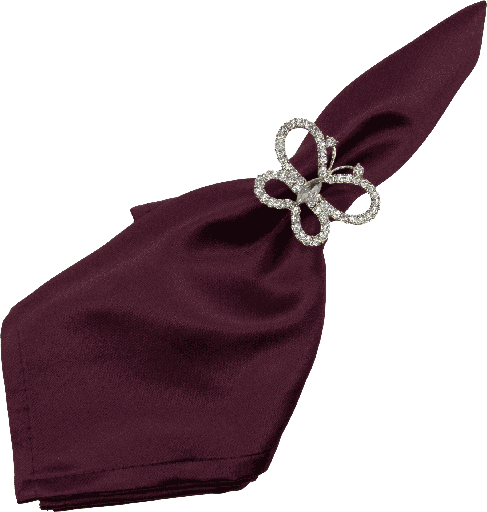 [00117A99] PAPILLON Serviettenring Metall silber